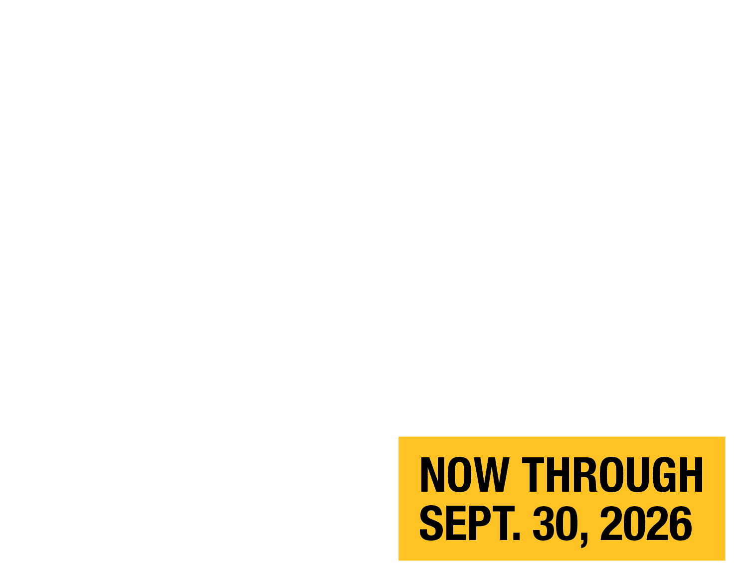 0% Financing