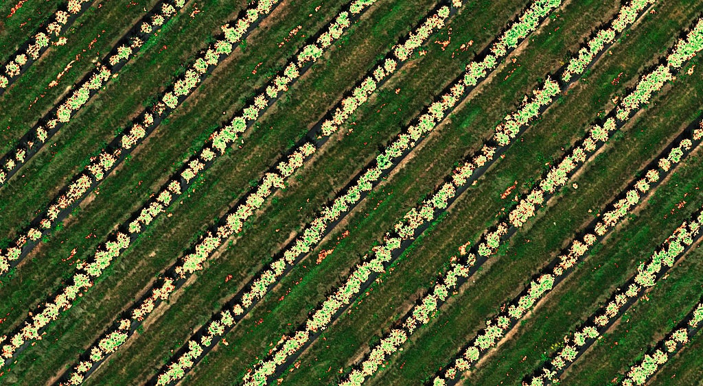 Multispectral_Image