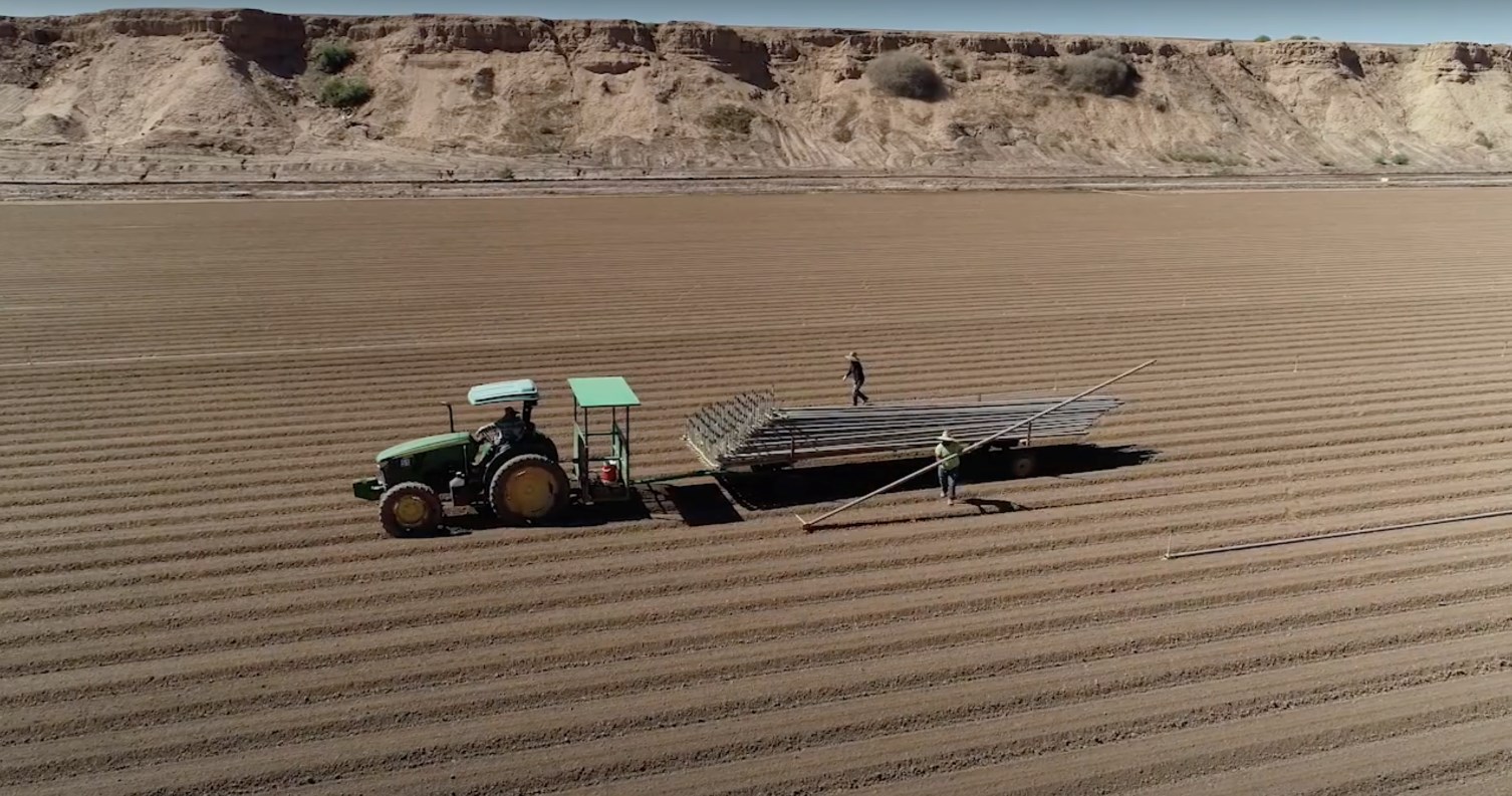 Irrigation Design Services