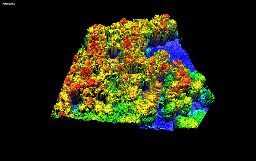 LiDar Image