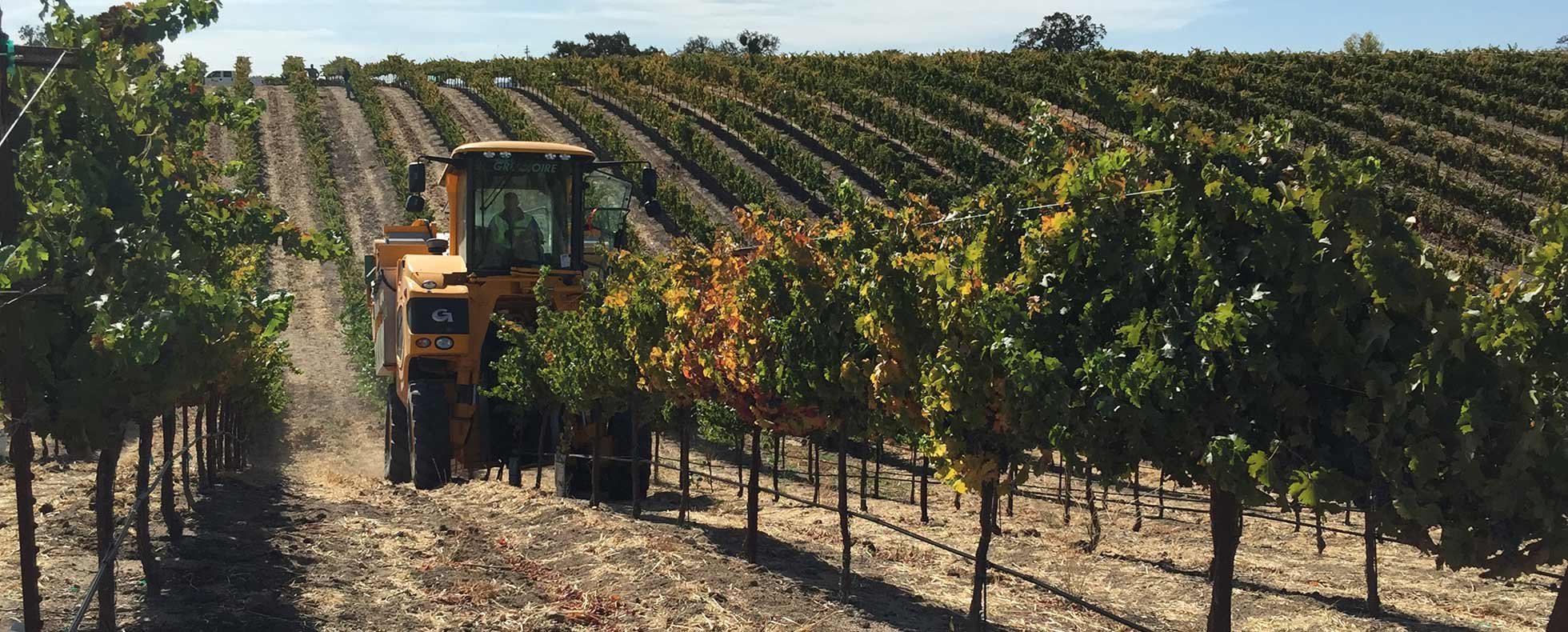Mechanized and Multi-Functional – Vineyard Solutions from Gregoire
