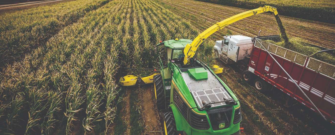 Walk Around Two Different John Deere Self-Propelled Forage Harvesters