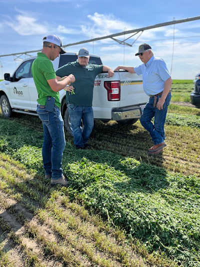 Northwest growers in a hay field with RDO team members 