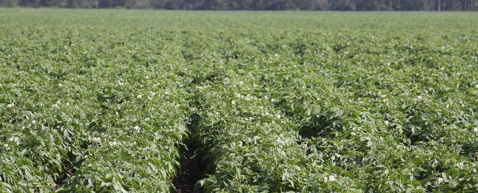 Automating Sprayer Data Collection: A Step-by-Step Guide for Farmers