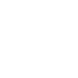 Topcon Logo white