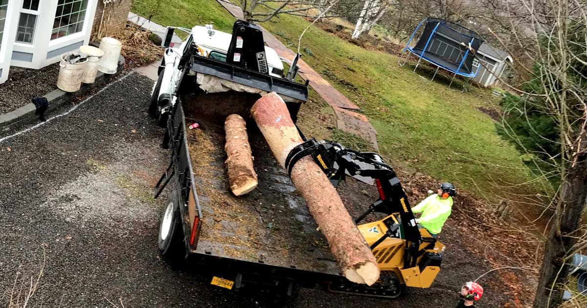 Homemade Mini Skid Steer Plans Homemade Ftempo